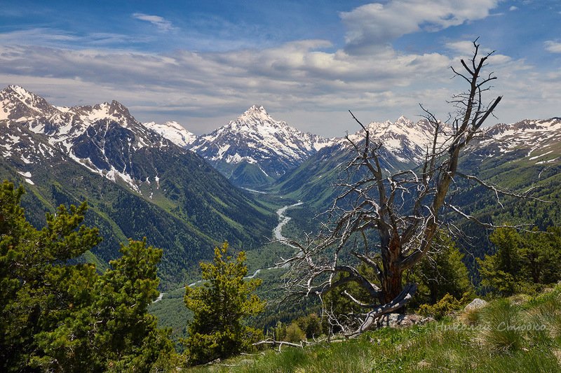 кавказ горы лето пшиш Пшиш фото превью