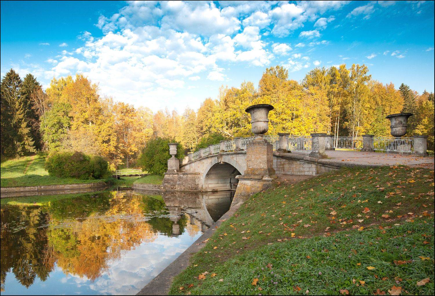 , Георгий Сапожников