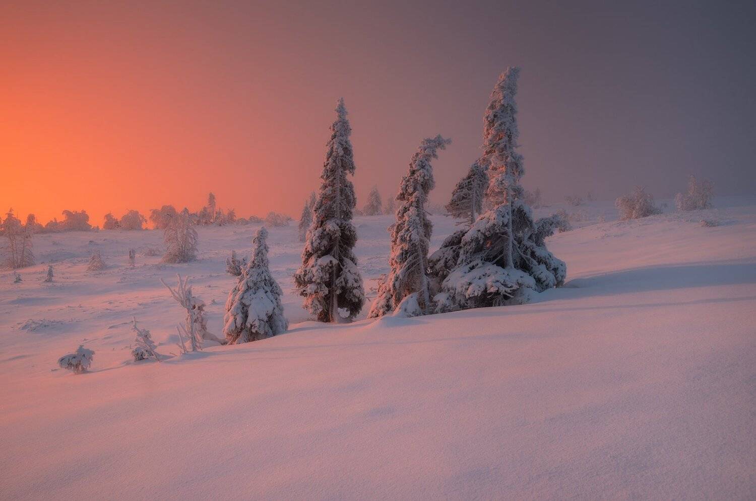пейзаж,хибины,кольский,север,россия,рассвет,снег,зима, Виталий Истомин