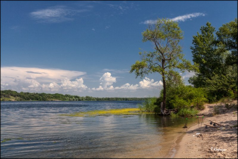 река,лето Родные просторы фото превью