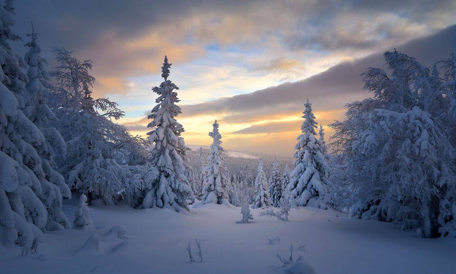 , Сергей Межин