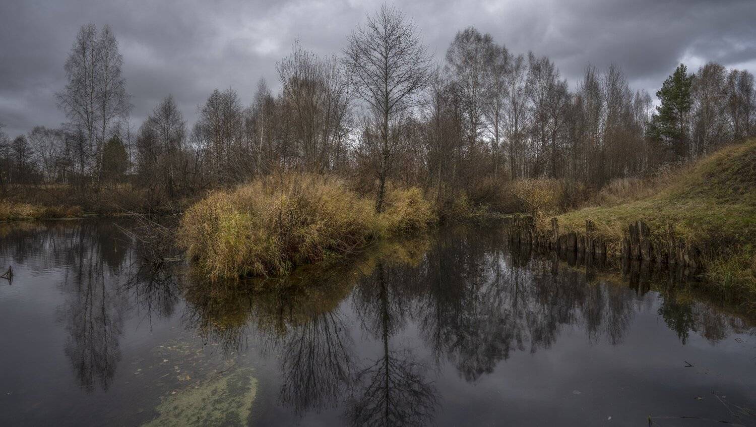 осень река остров, Андрей Колесов
