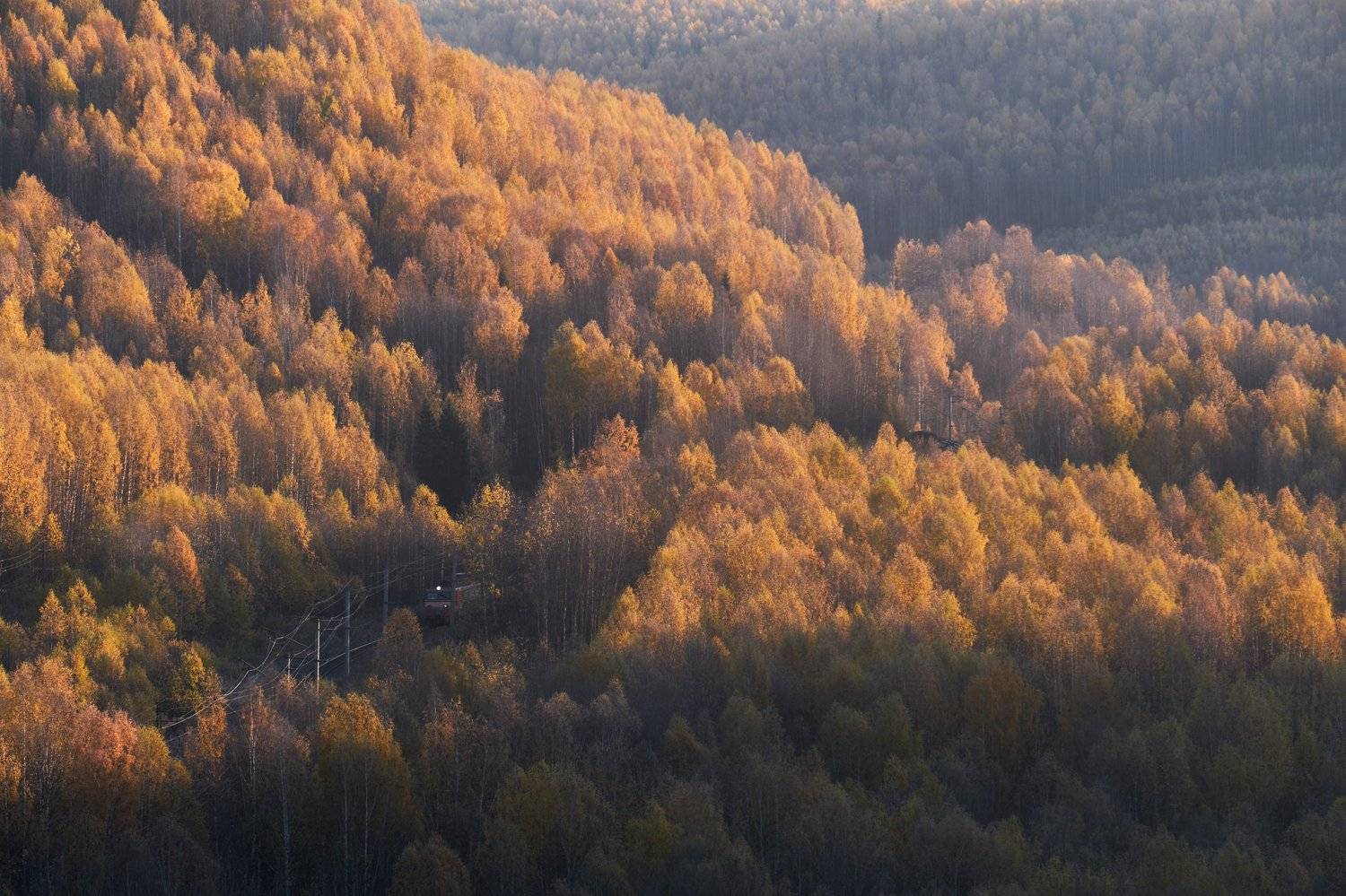 осень, поезд, утро, рассвет, Савицкий Ян