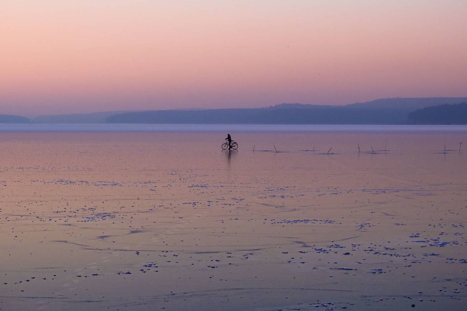 , Лариса Лофицкая