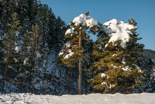 Солнечный день в Архызе