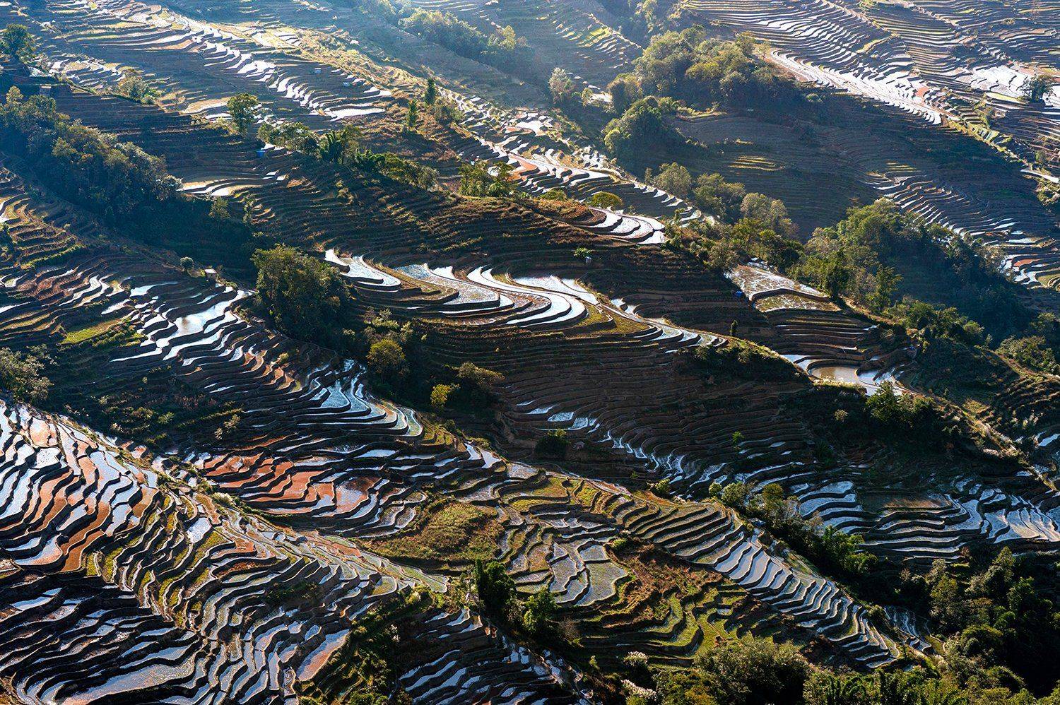 , Кирина Елизавета