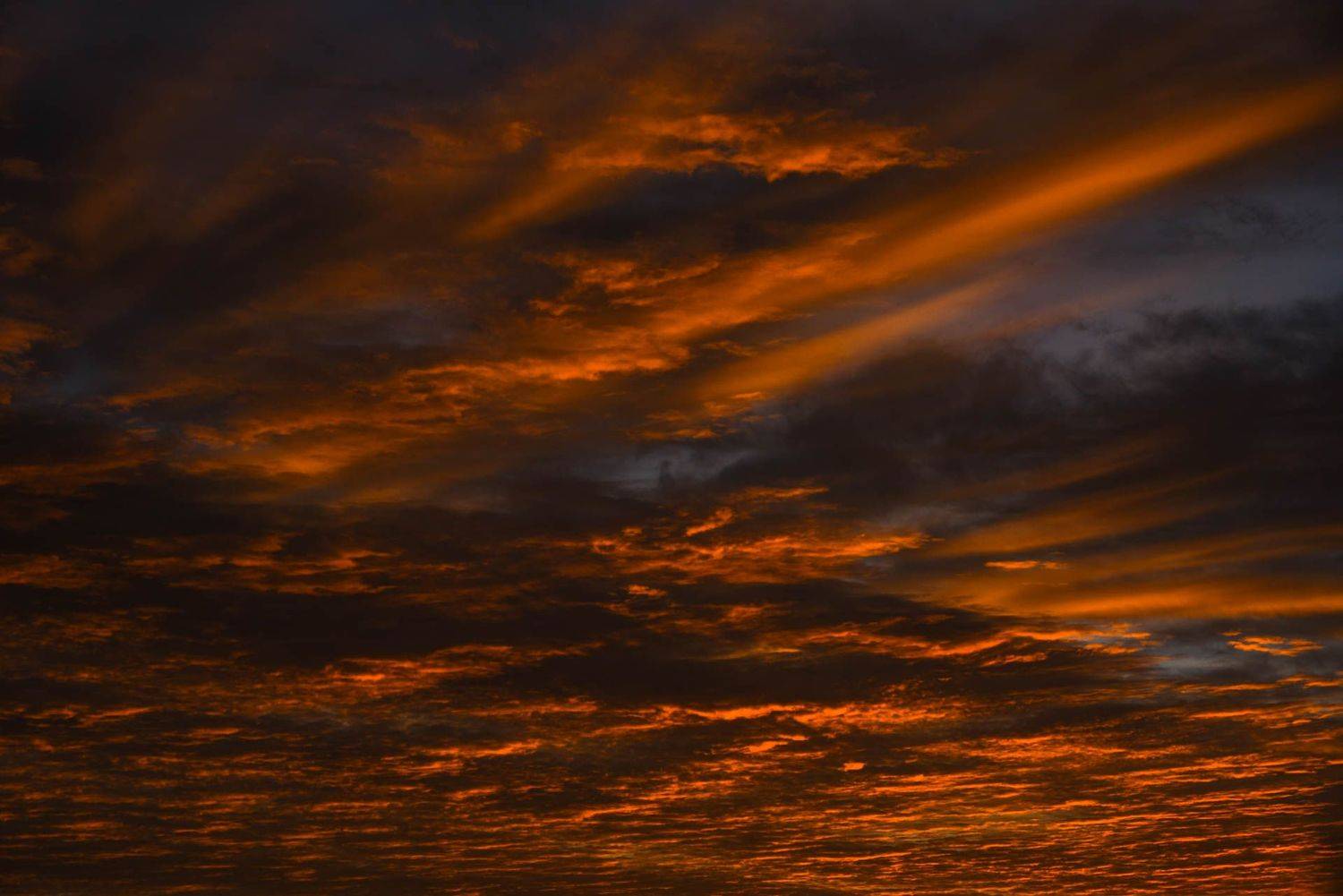 рассвет, пустыня сахара, пейзаж., Антон Ерошенко