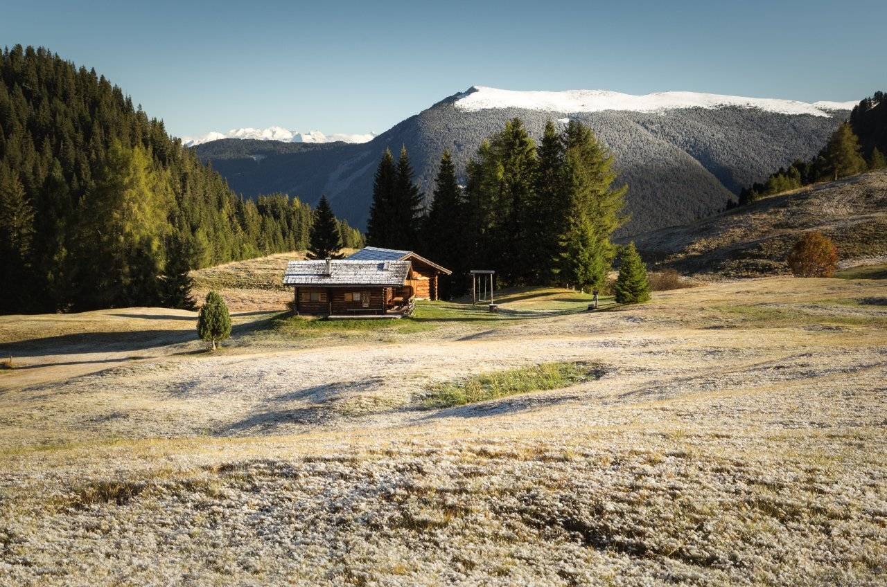 снег; горы; лес; альпы; италия, Александр Удовиченко