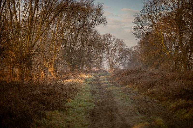 Path фото превью
