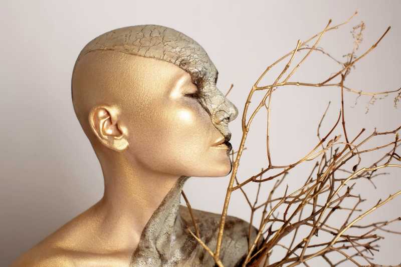 Гауранга фото превью