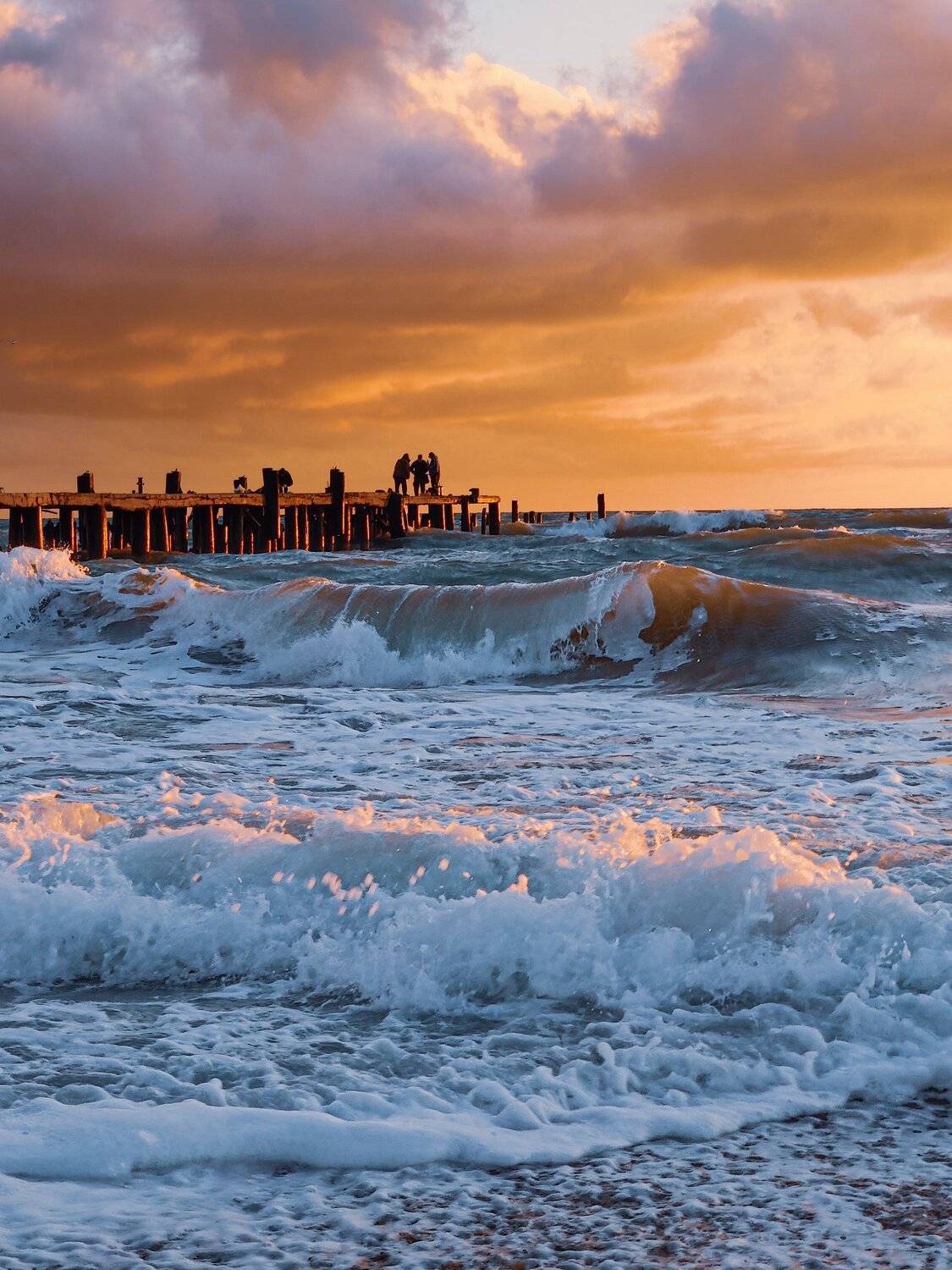 , Андрей Кривцов
