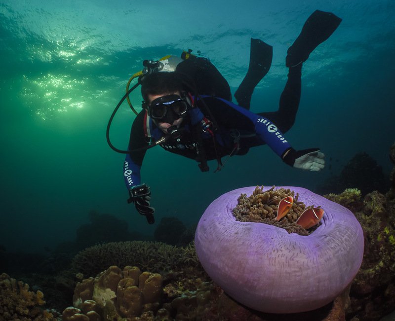 На закате .... фото превью