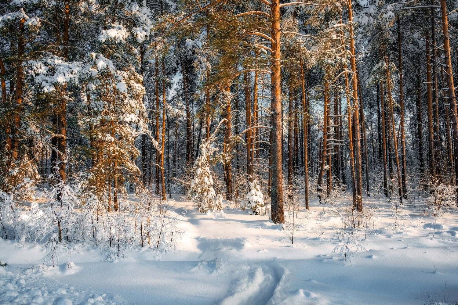 , Екатерина