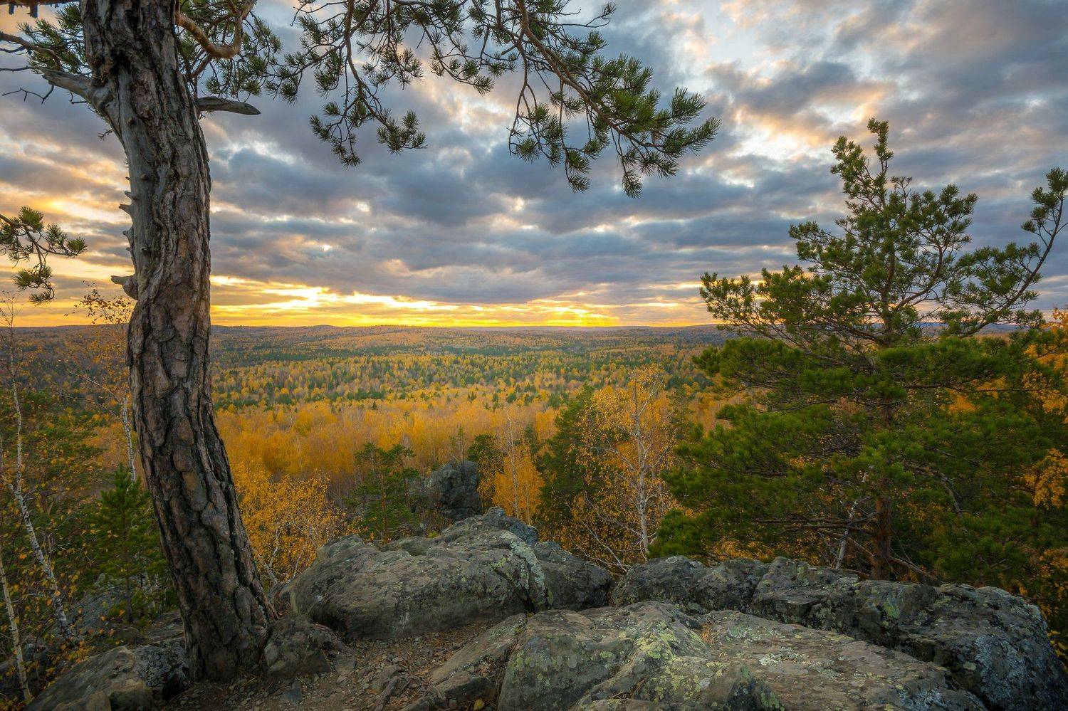 лес осень скалы урал закат, Жданов Дмитрий