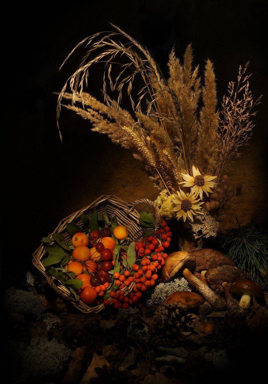 , Чепленко Алексей