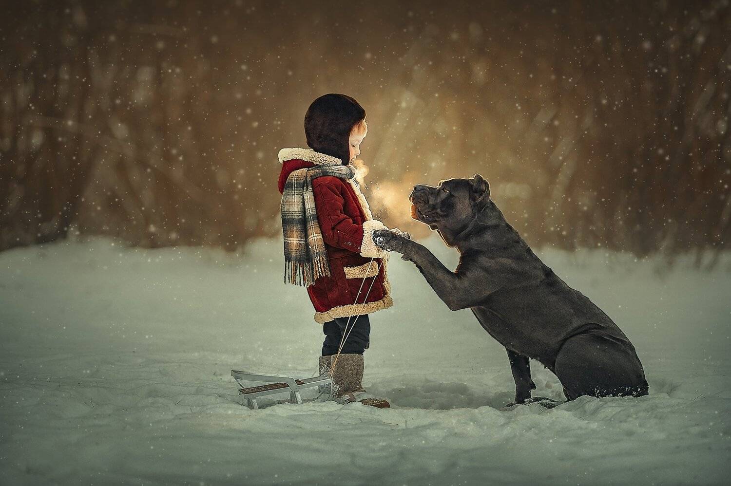 , Ксения Лысенкова