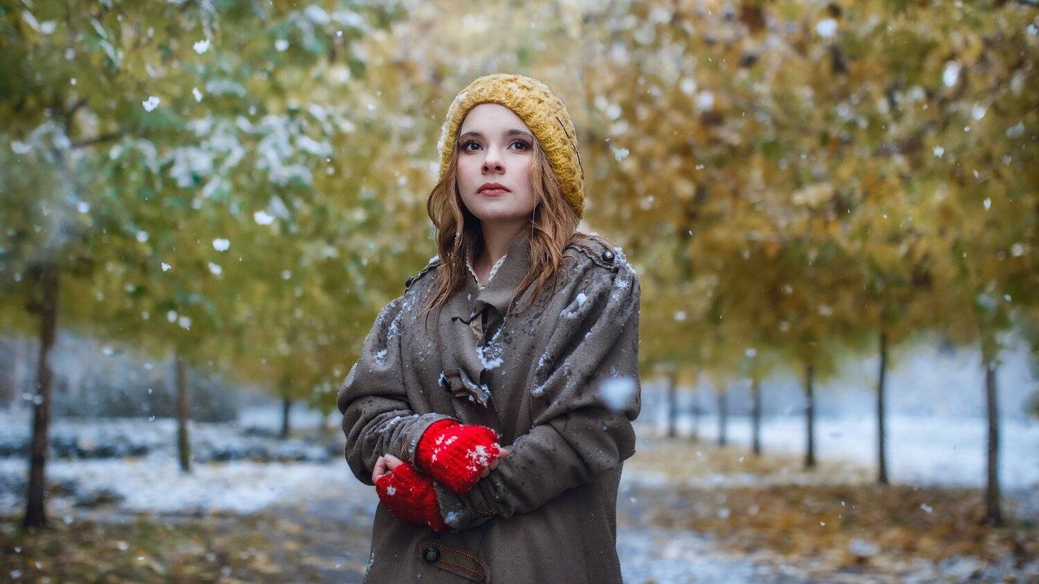 , Владимир Осауленко