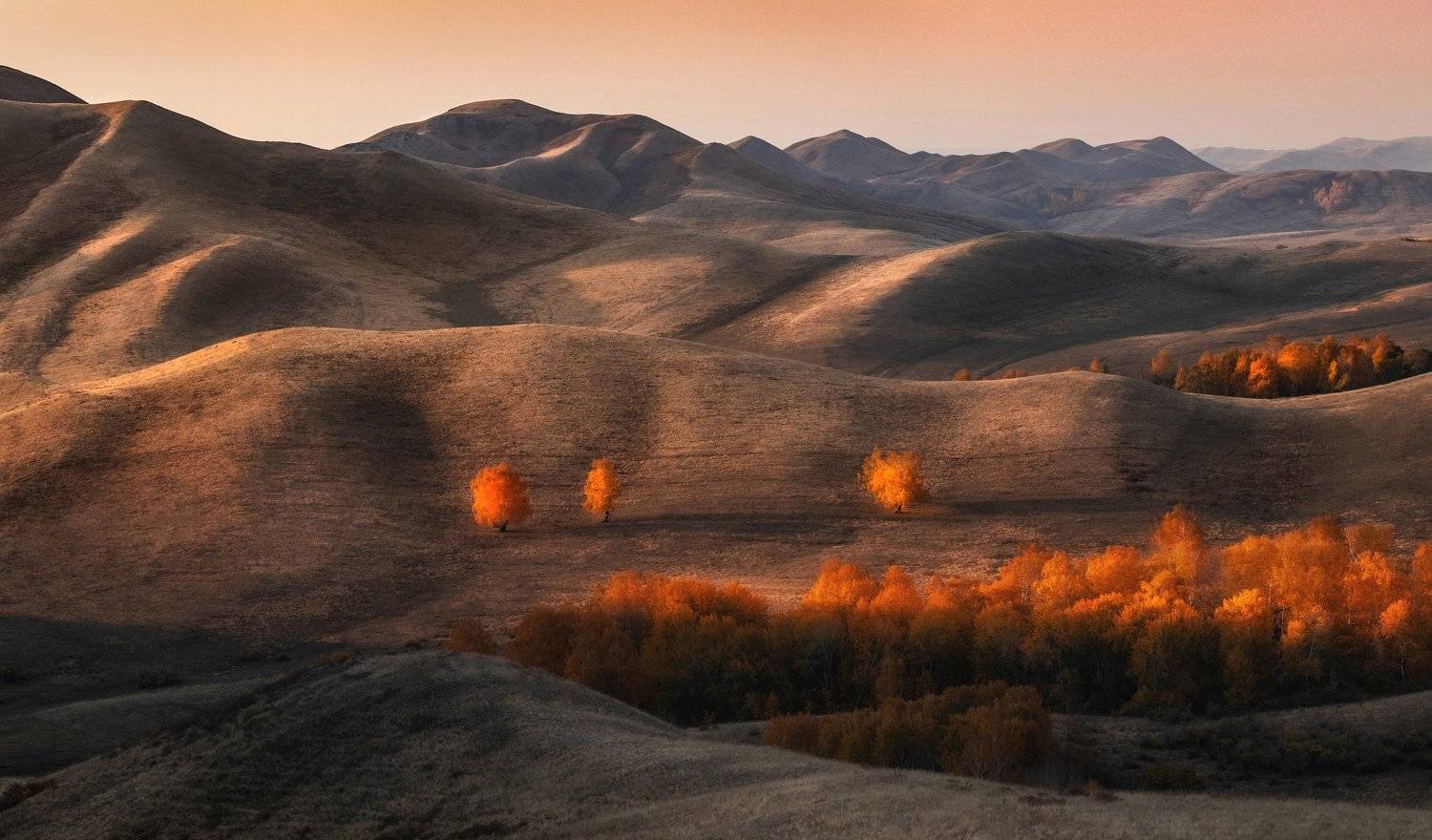 , Татьяна Бирюкова