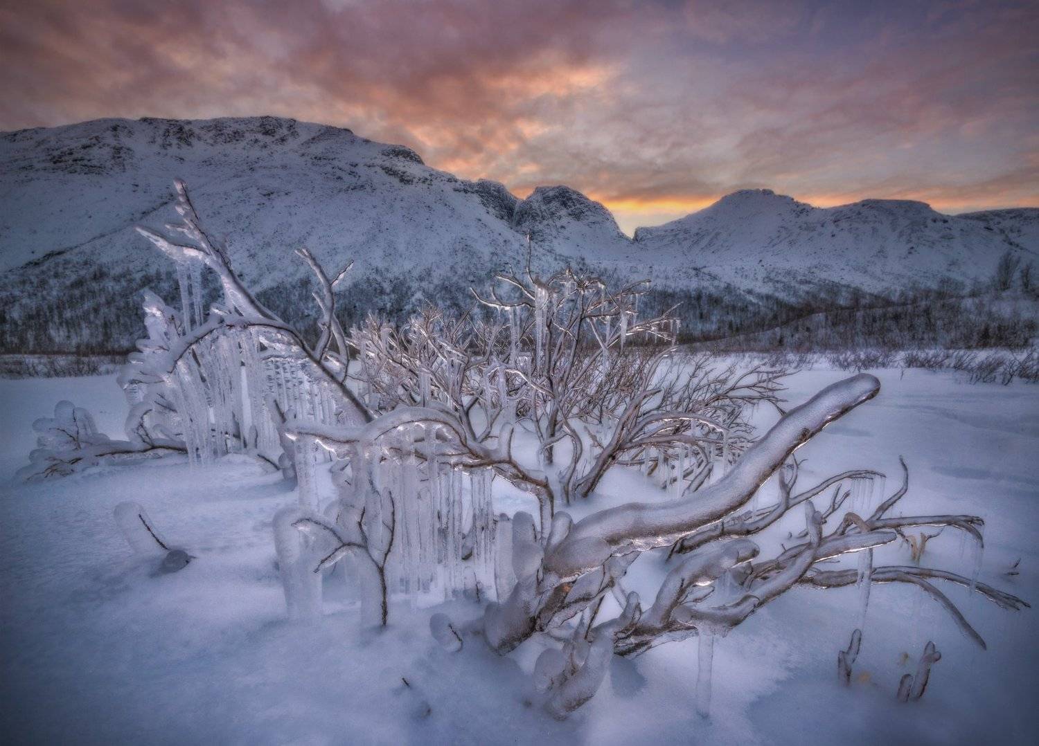 кольский, хибины, Андрей Грачев