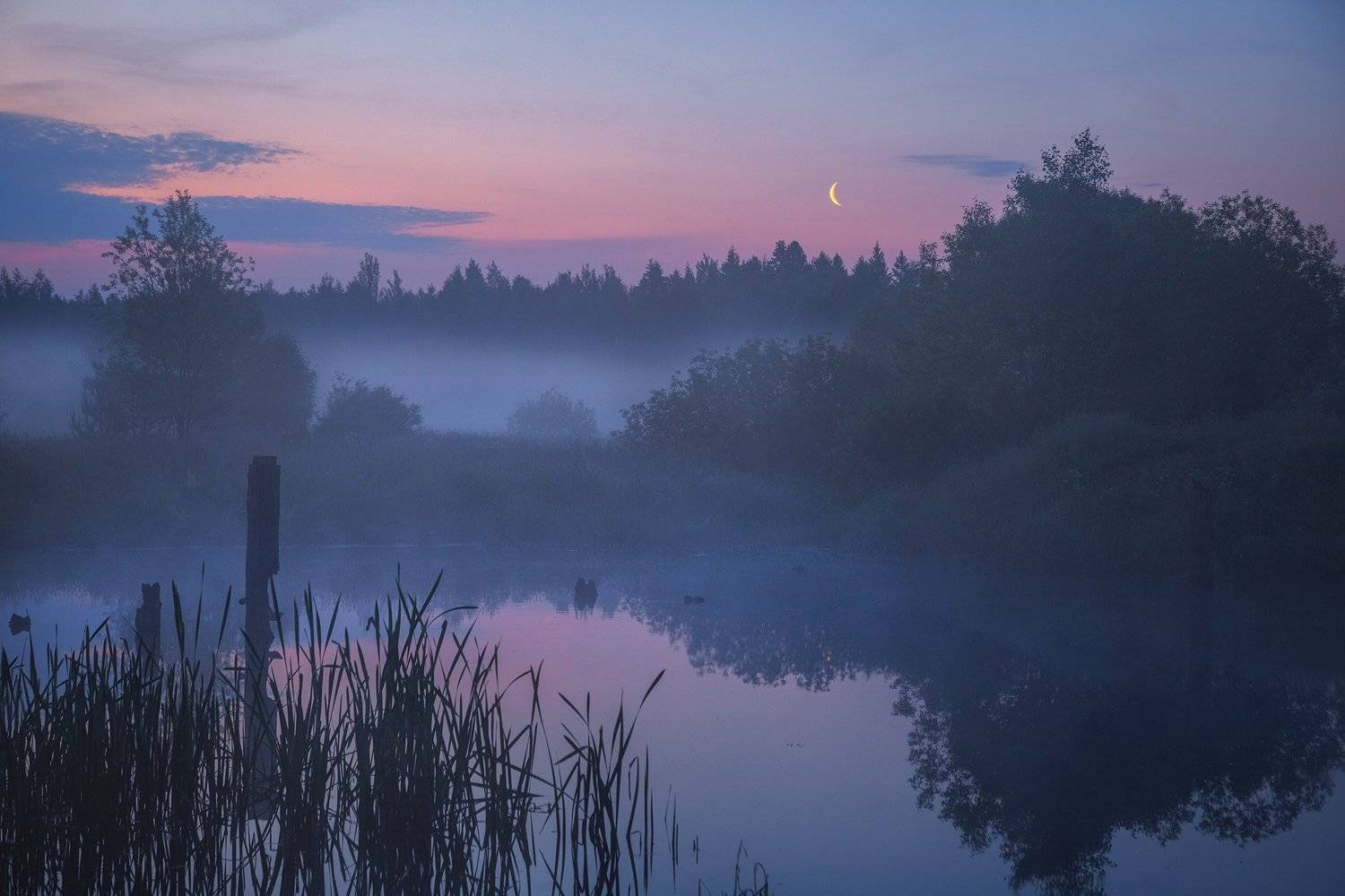 туман, озеро, , Александр Стрельчук