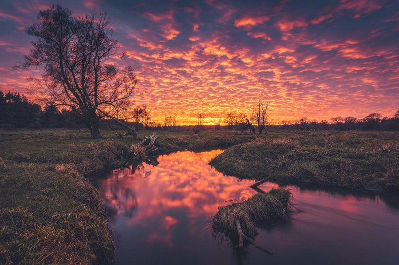 Fire in the sky фото превью