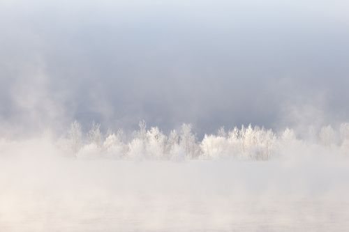 Frosty Morning - first touch