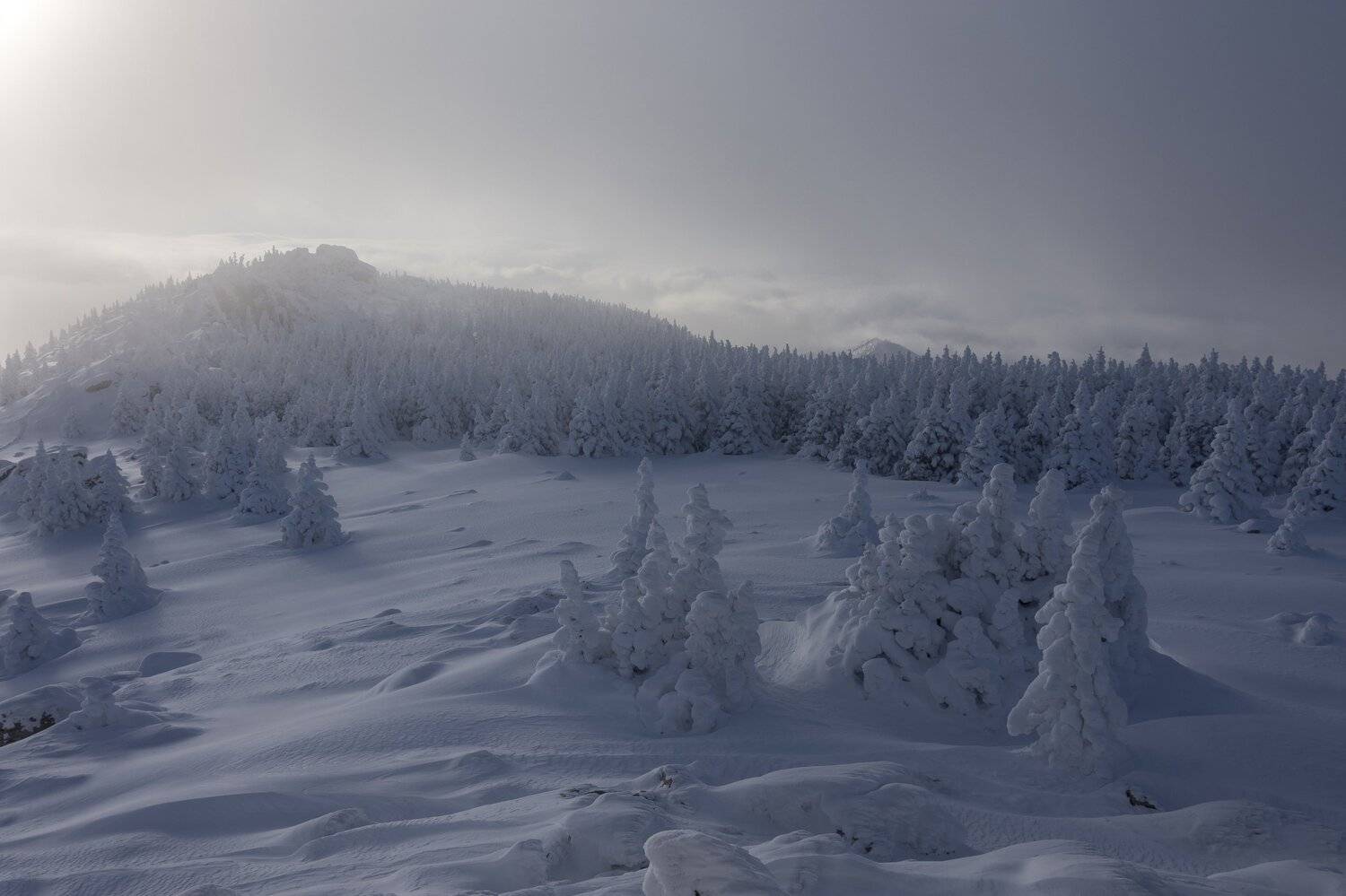 , Андрей Шарапов