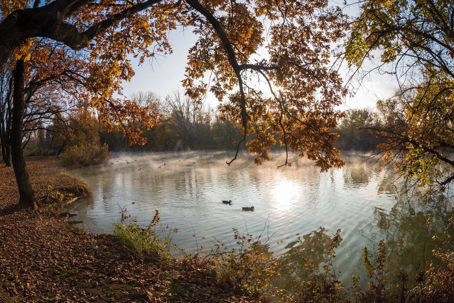 , Алексей Рыльский