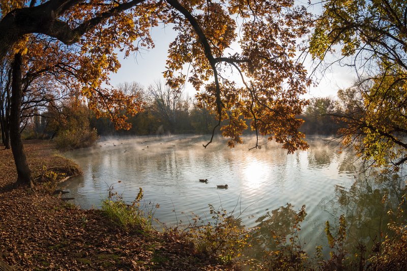 Последний осенний вечер фото превью