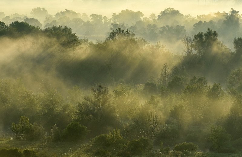 Рассвет, пейзаж, Двуречанский природный парк, лето, туман  Туманное утро фото превью