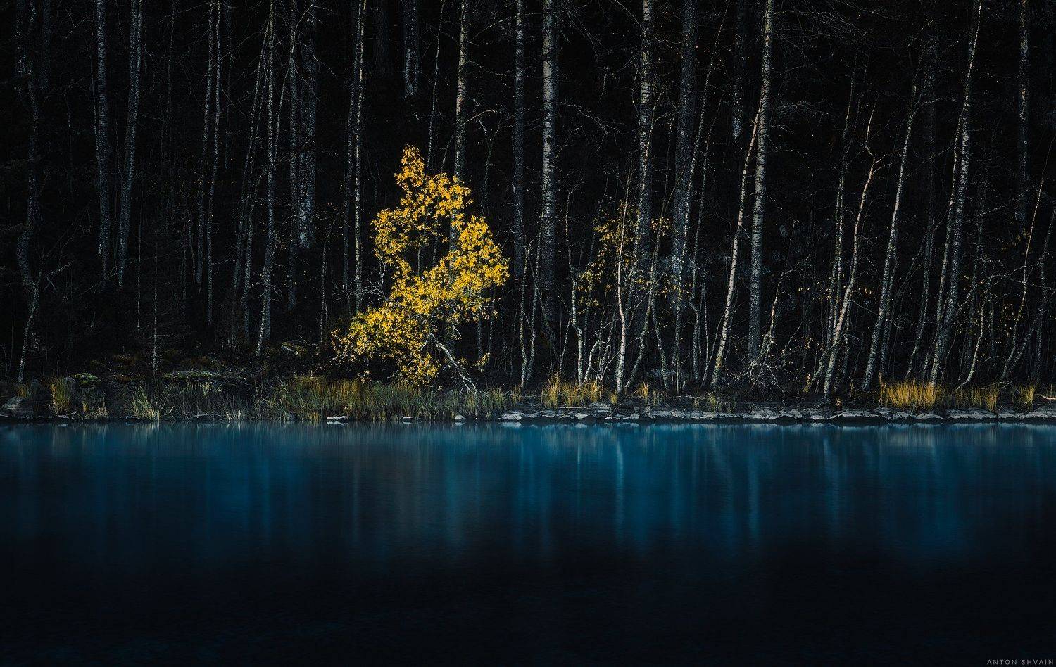 , Антон Шваин