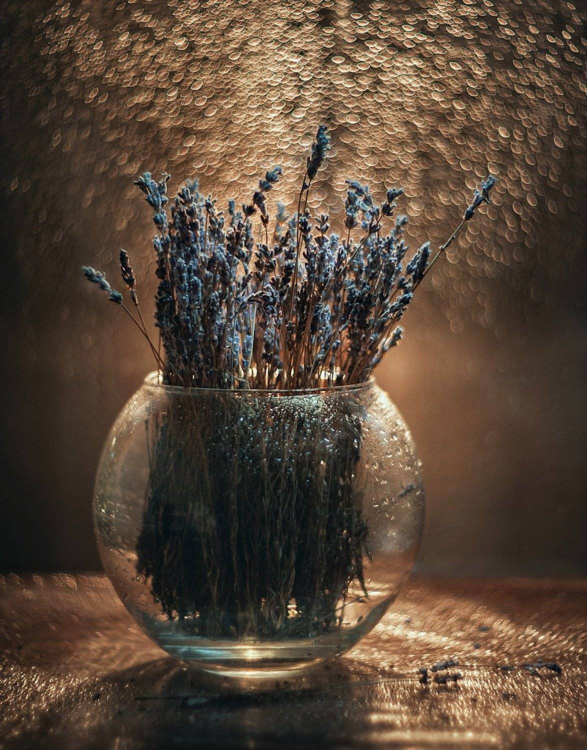 , Владимир Жуков