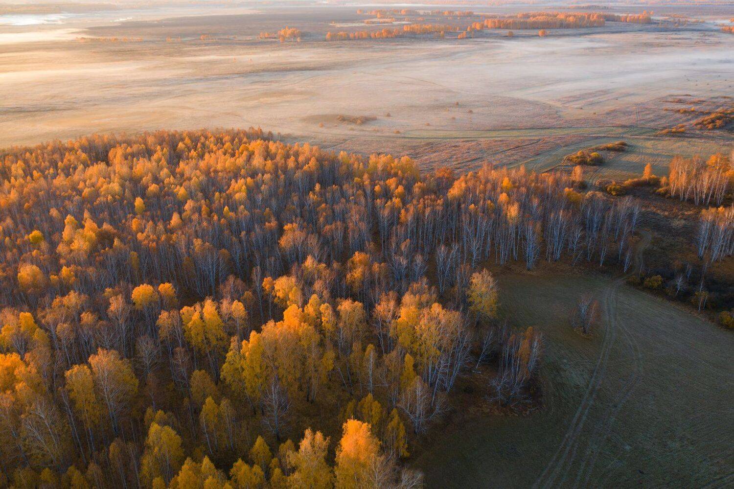 , Кутыгин Эдуард