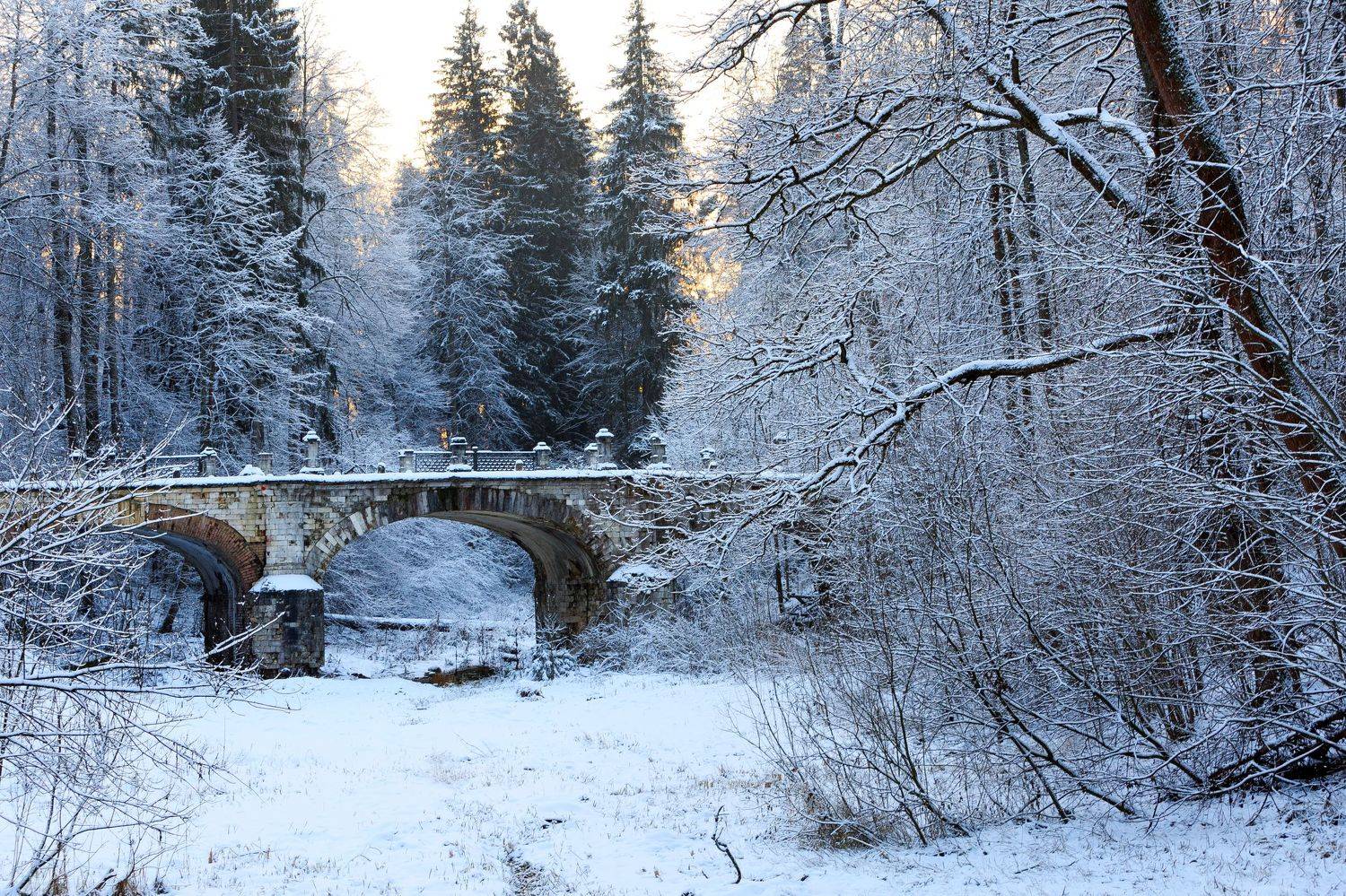 , Татьяна Проценко