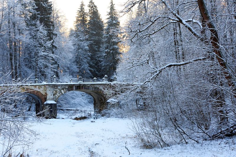 Первый день зимы фото превью