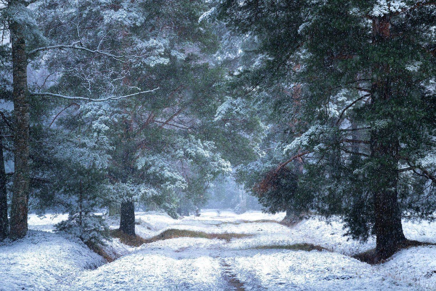 , Андрей Базанов