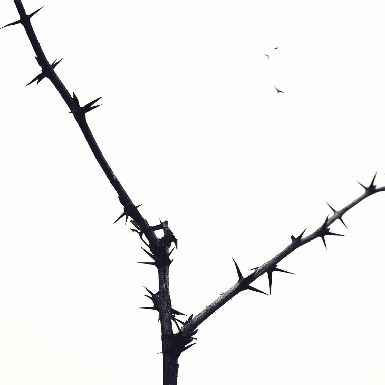 , Капустин Максим