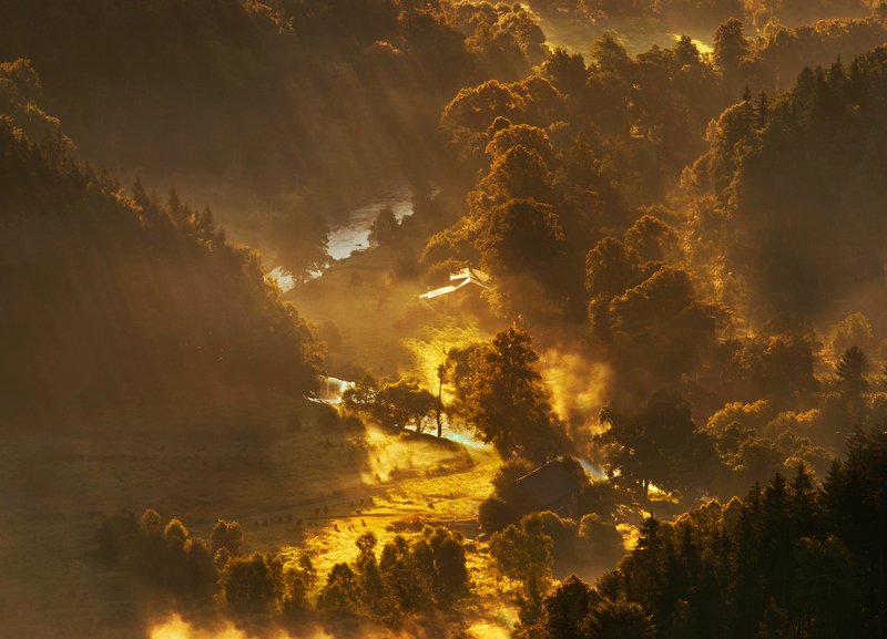 Landscape, sunrise, fog, nikon Golden valley фото превью