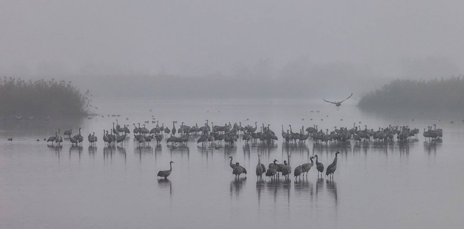 , Григорий Крамаренко