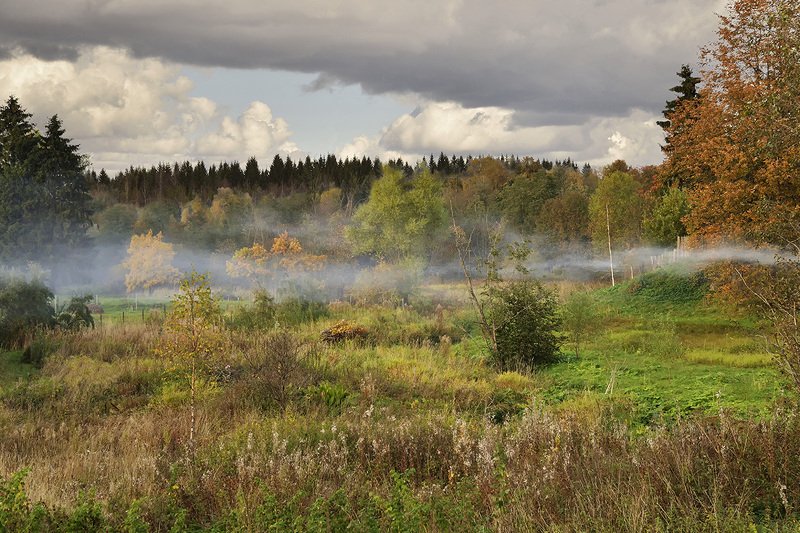 Вид из моего окна. фото превью