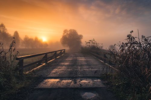 a bridge to a more interesting world