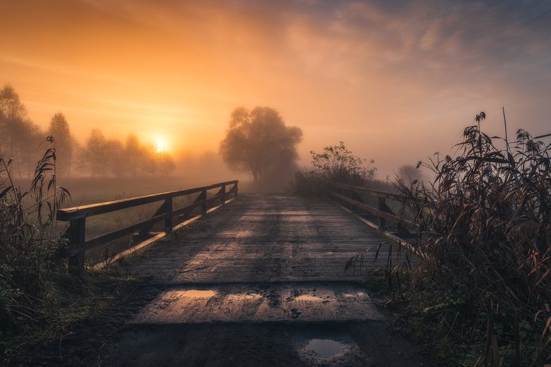a bridge to a more interesting world фото превью