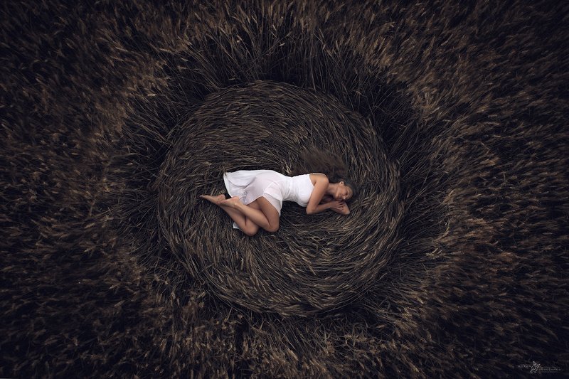 Circle фото превью