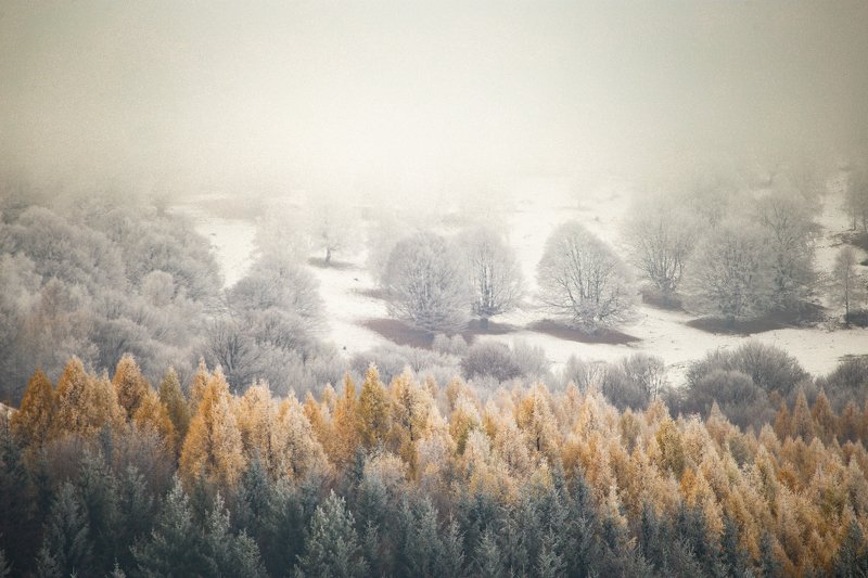 ... фото превью