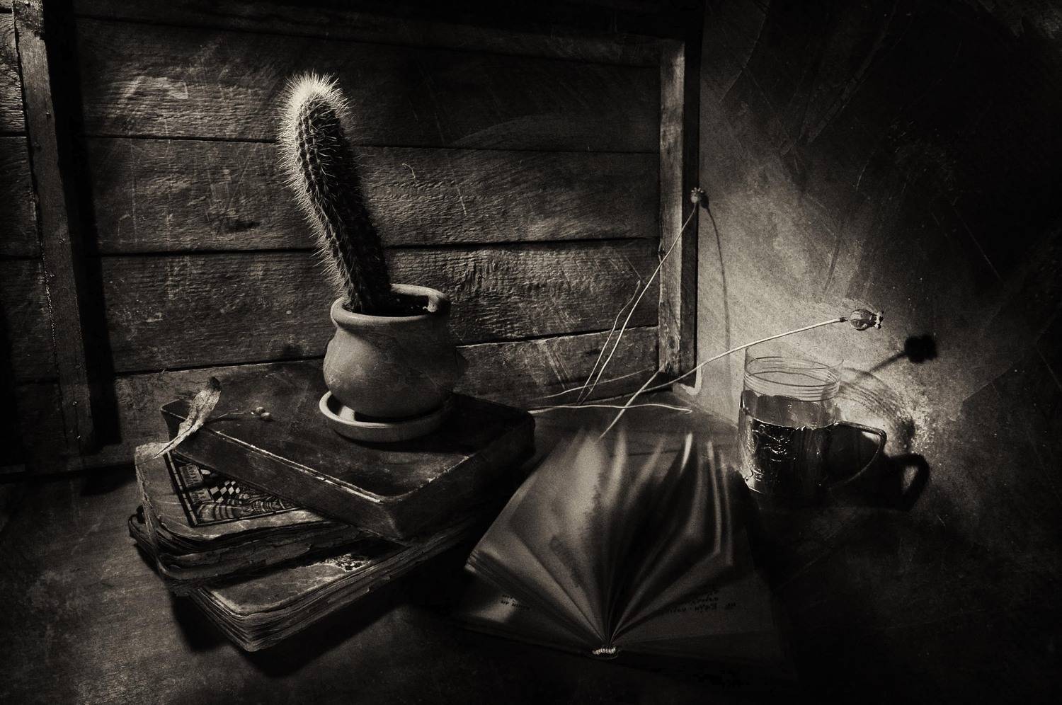 , Ирина Данилова