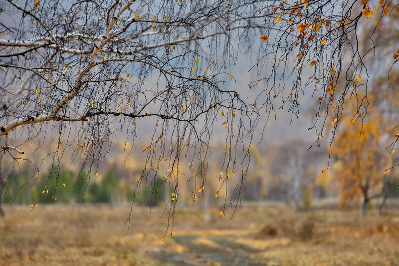 башкирия, южный урал орск новотроицк Октябрь... фото превью