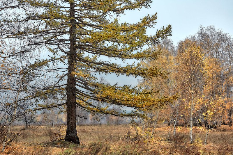башкирия, южный урал орск новотроицк Осенняя тишина.. фото превью