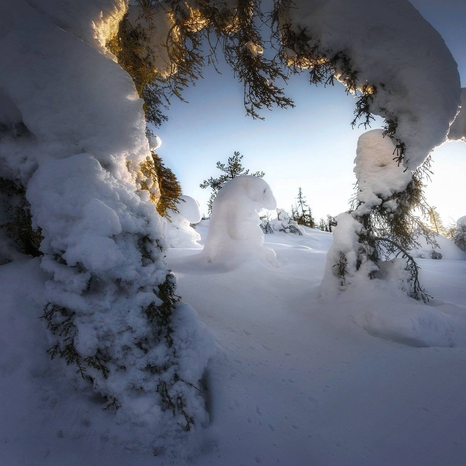 , Попрошаев Сергей