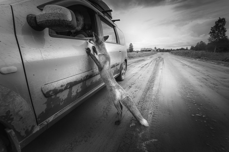 *** фото превью