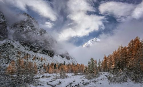 Утро  первого  снега..